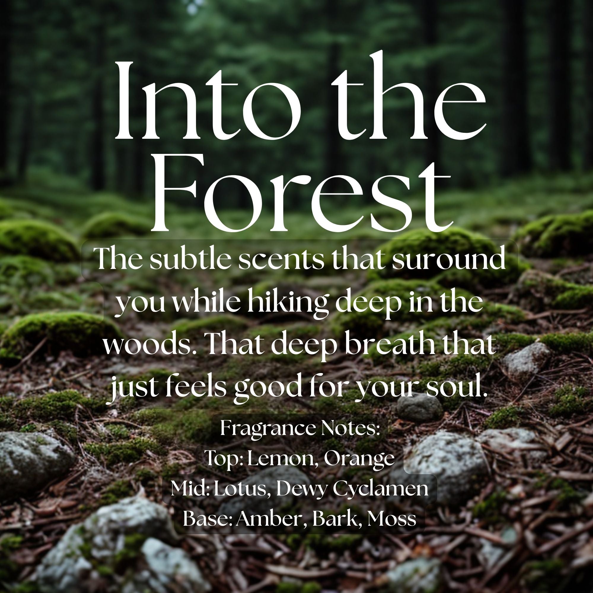 Into The Forest Candle