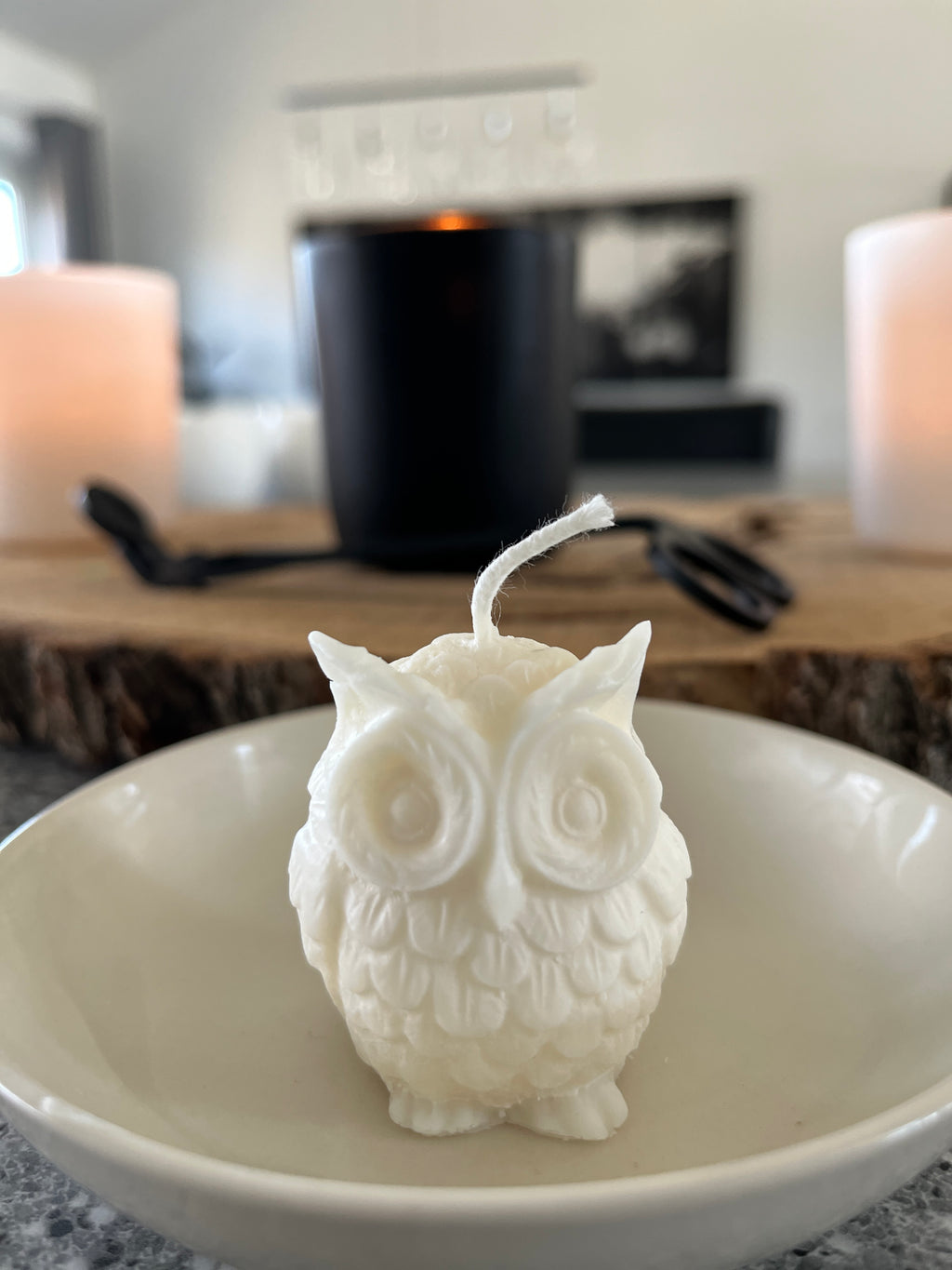 Owl Candle