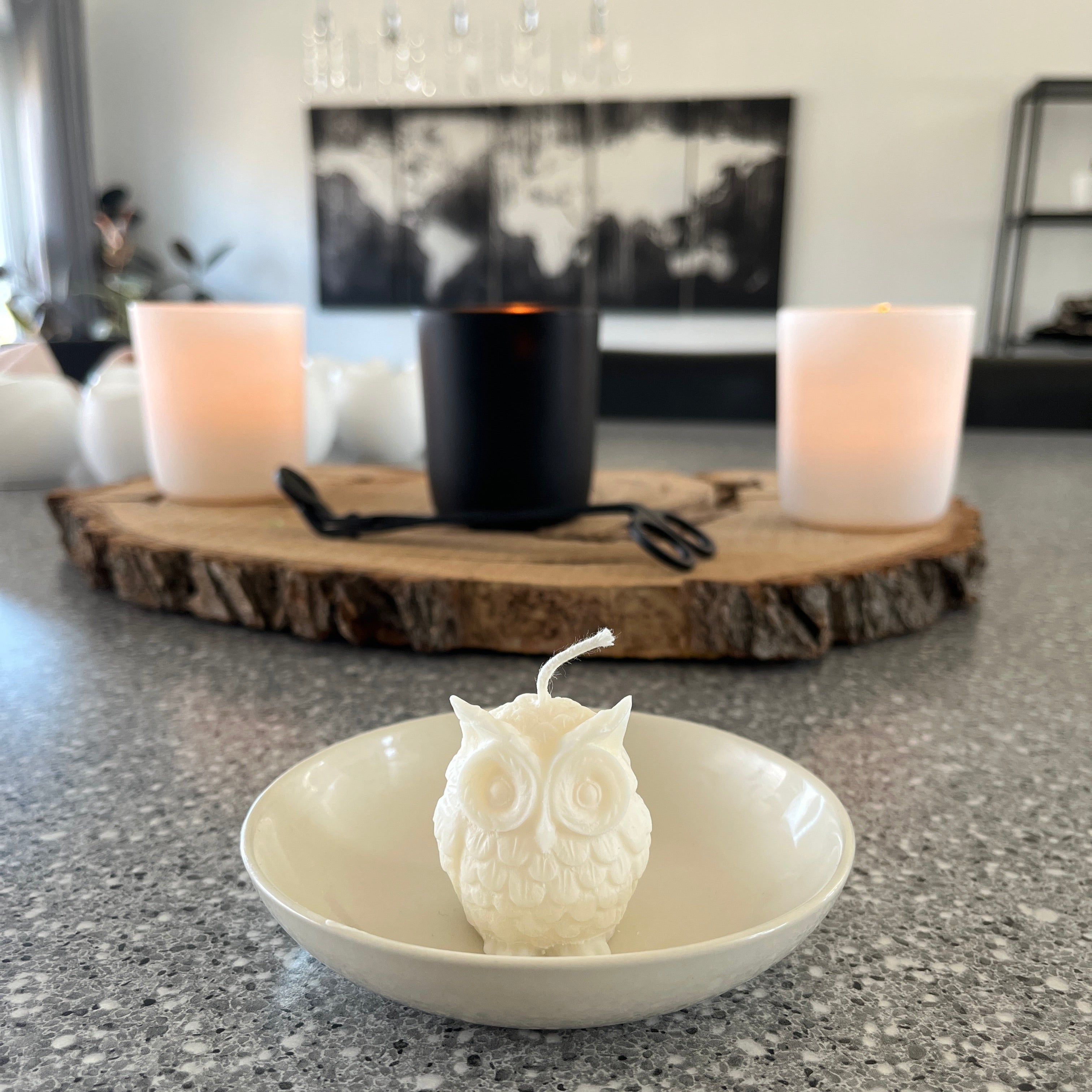 Owl Candle
