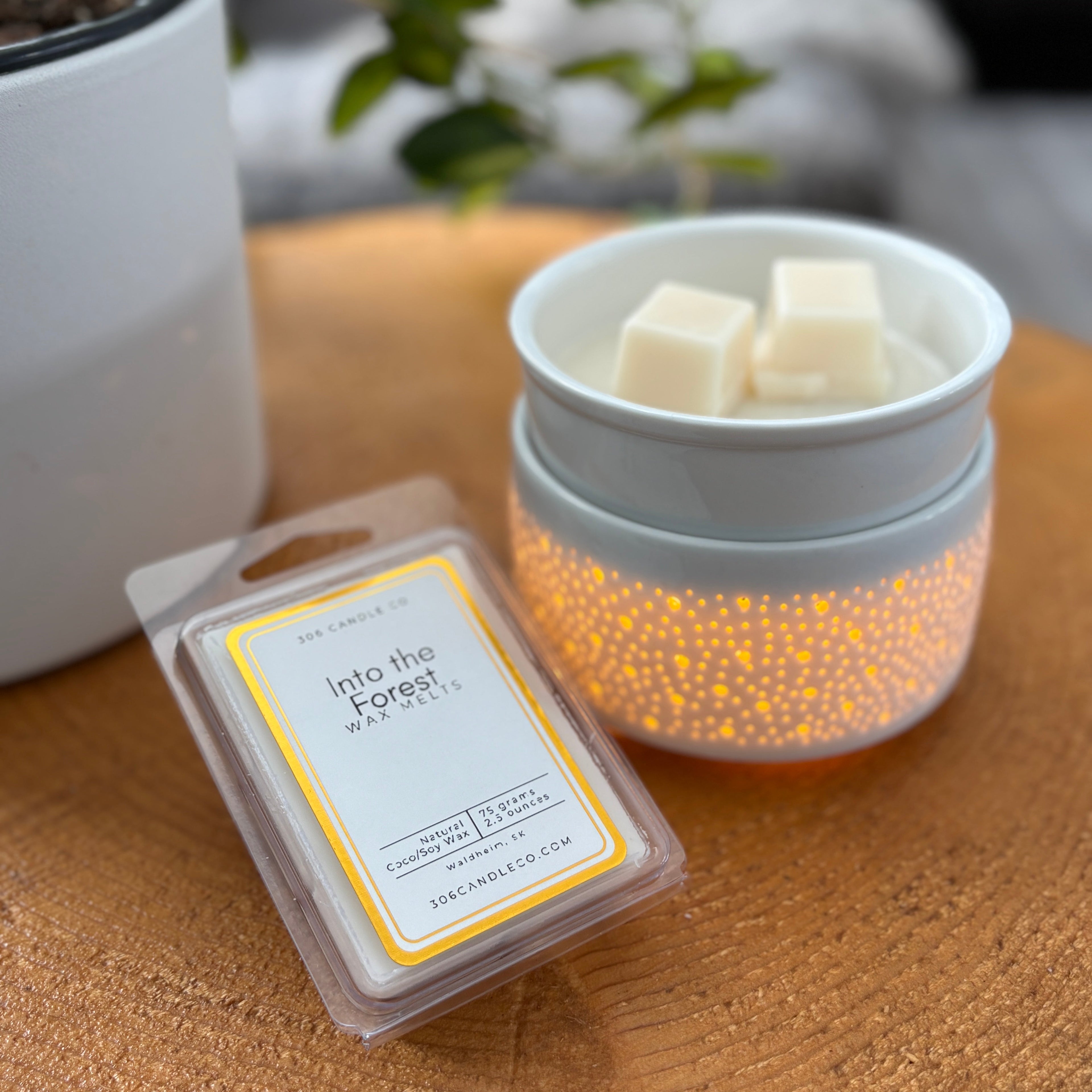 Into the Forest Wax Melts - coconut soy wax, clean burning, pine and earthy scents, made in Canada