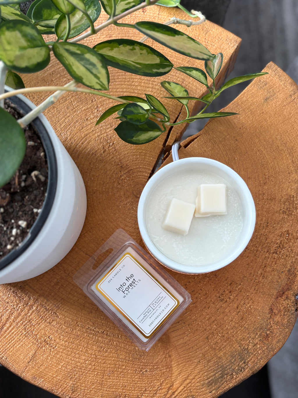 Into the Forest Wax Melts - coconut soy wax, clean burning, pine and earthy scents, made in Canada