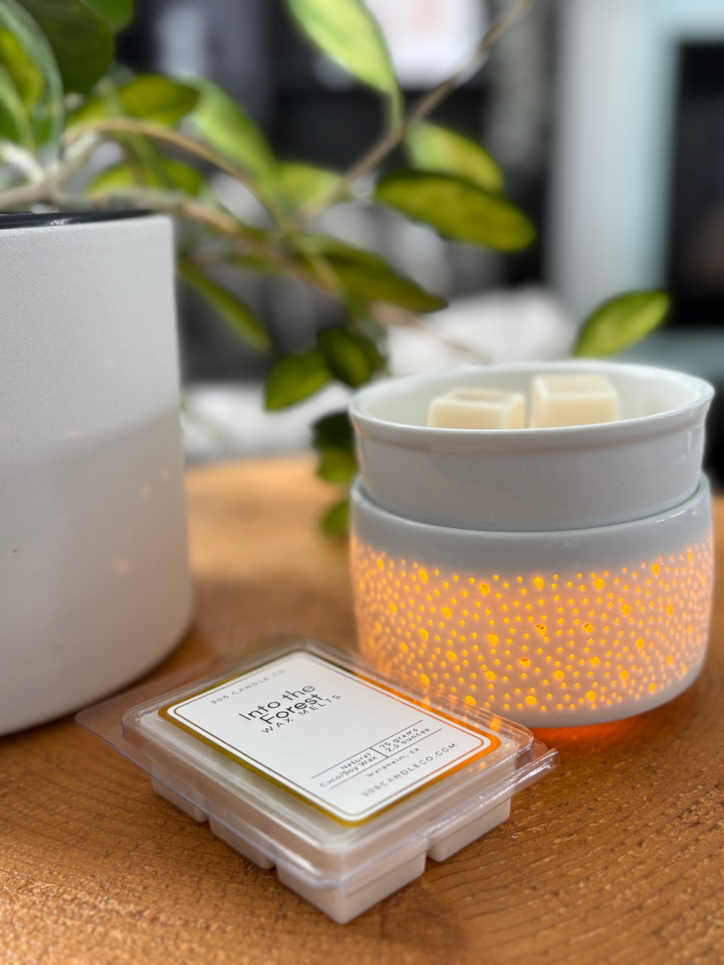 Into the Forest Wax Melts - coconut soy wax, clean burning, pine and earthy scents, made in Canada