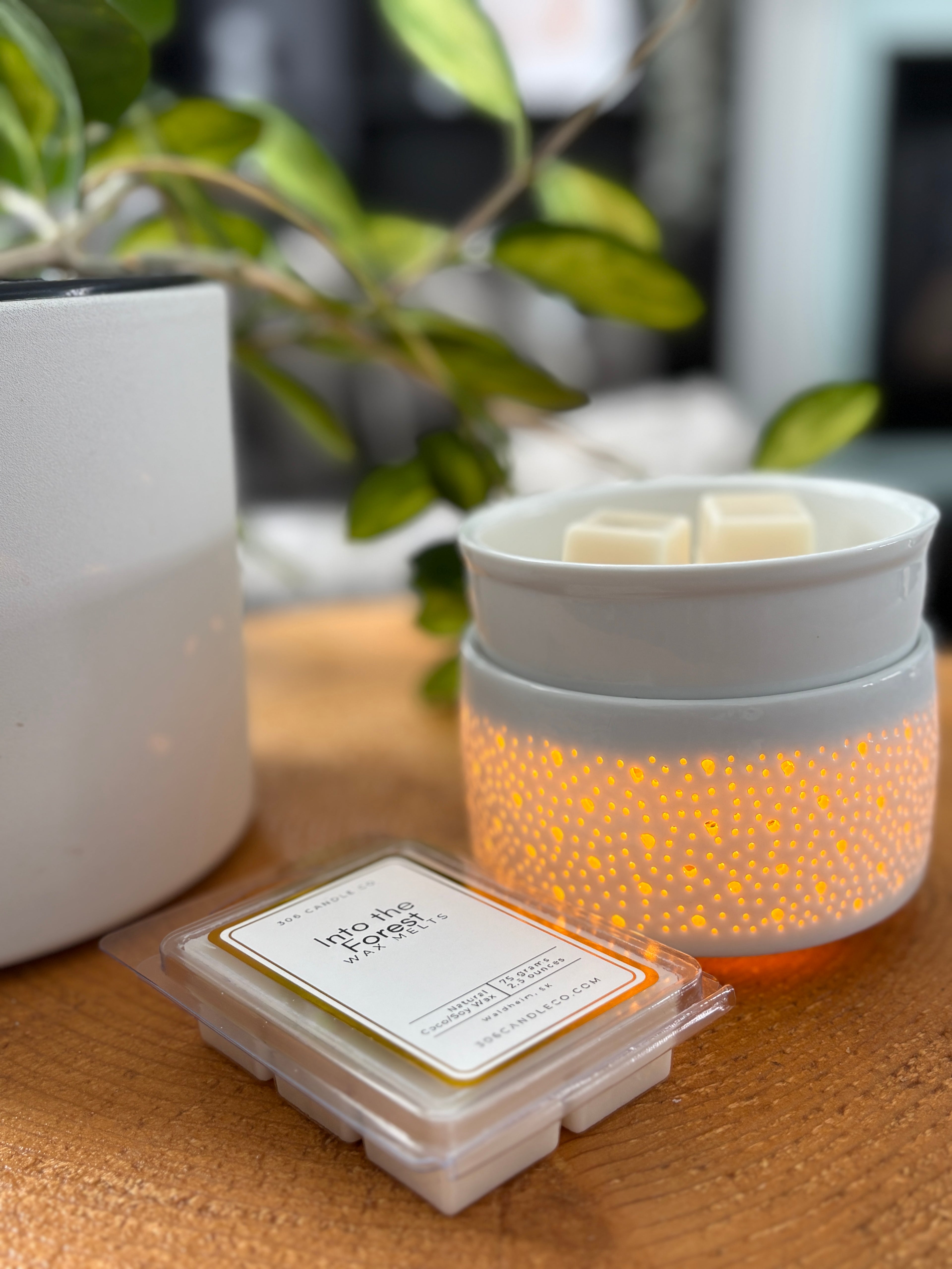 Into the Forest Wax Melts - coconut soy wax, clean burning, pine and earthy scents, made in Canada