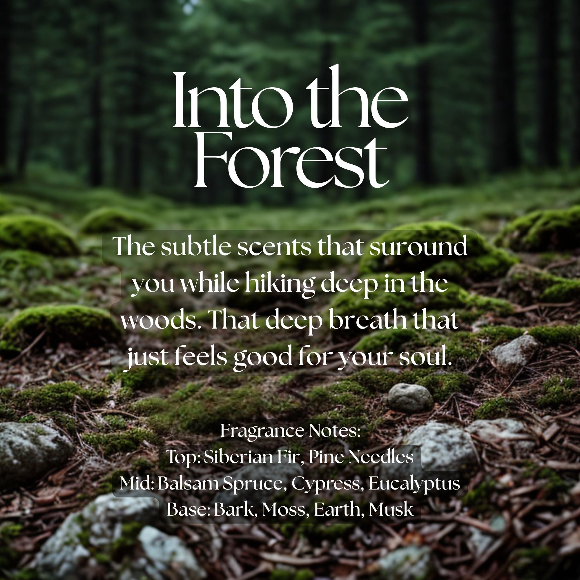 Into The Forest Candle