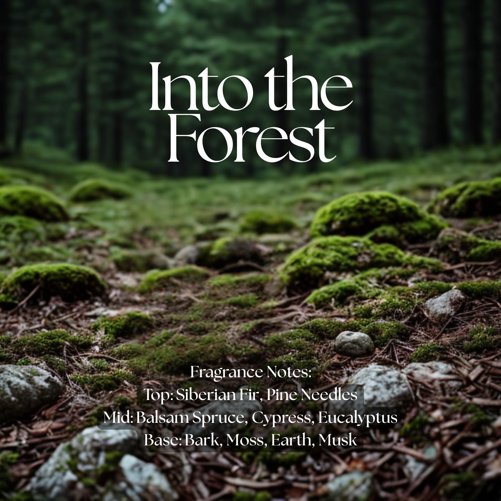 Into the Forest Wax Melts - coconut soy wax, clean burning, pine and earthy scents, made in Canada