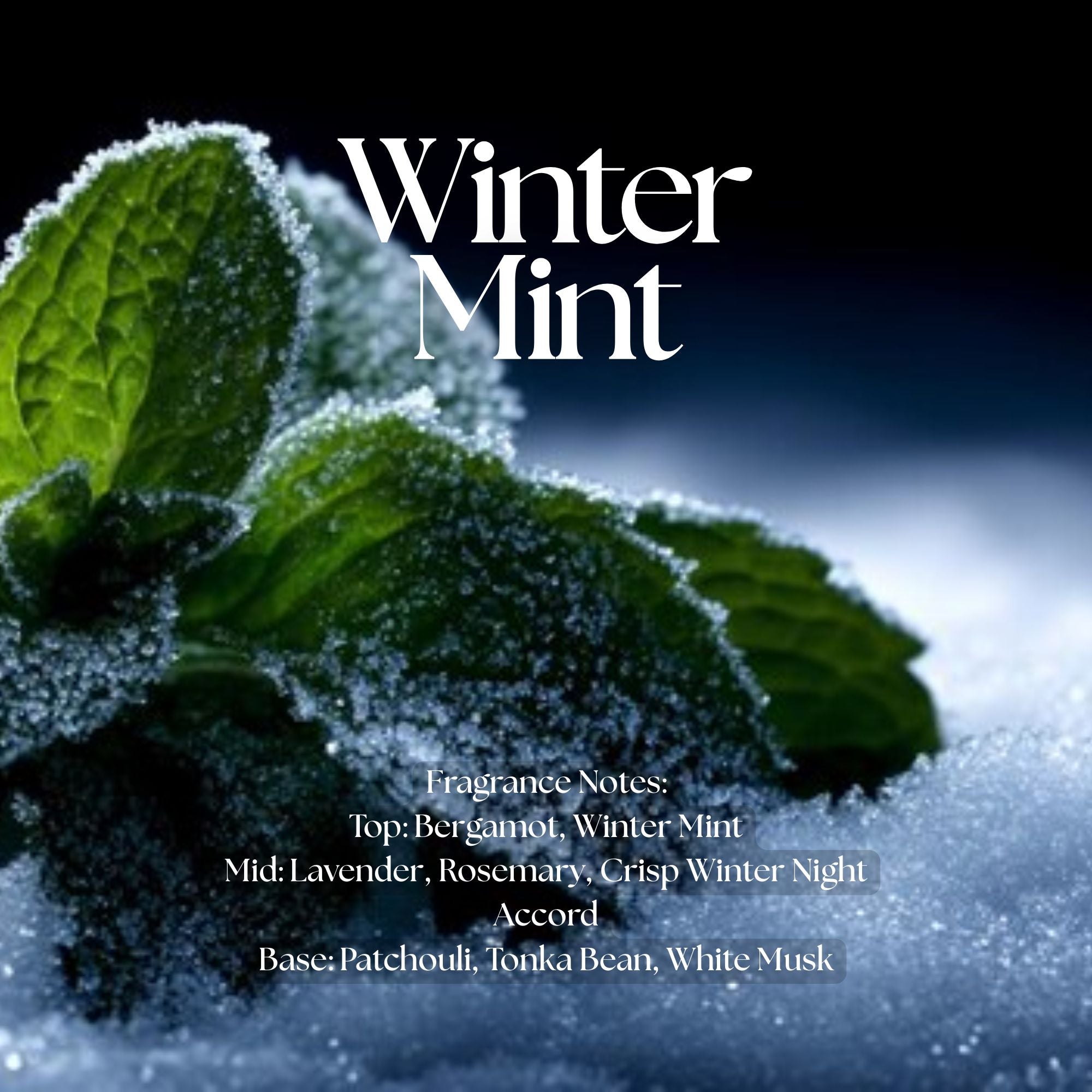 Winter Mint Candle - soy coconut wax, wood wick candle, made in Canada, white, brown, or black