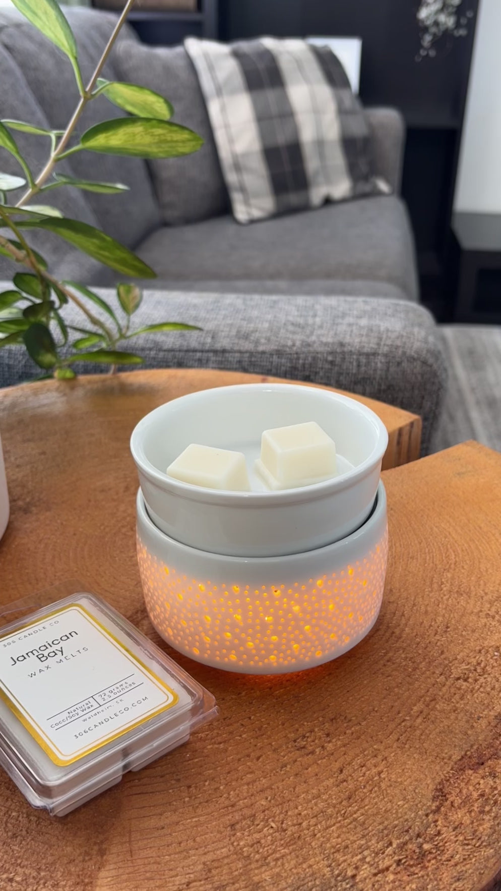 Baby Apricot Wax Melts - coconut soy wax, clean burning,  tangerine, apricot nectar, and lavender scents, made in Canada